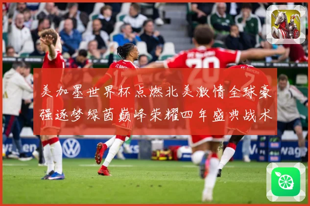 美加墨世界杯点燃北美激情全球豪强逐梦绿茵巅峰荣耀四年盛典战术观察-深度解析