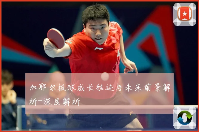 加耶尔板球成长轨迹与未来前景解析-深度解析