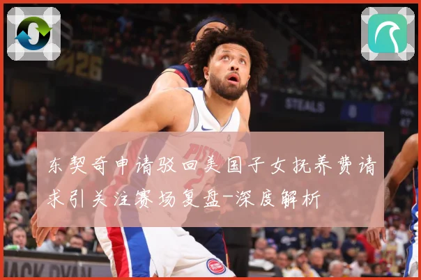 东契奇申请驳回美国子女抚养费请求引关注赛场复盘-深度解析