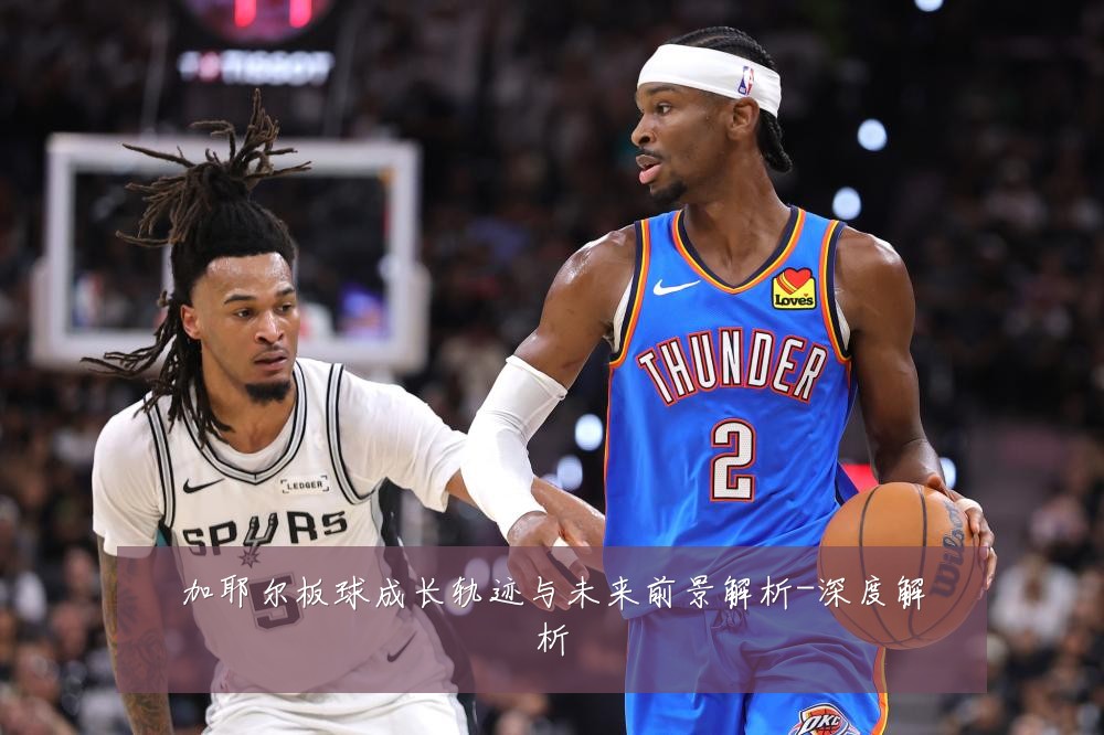 加耶尔板球成长轨迹与未来前景解析-深度解析